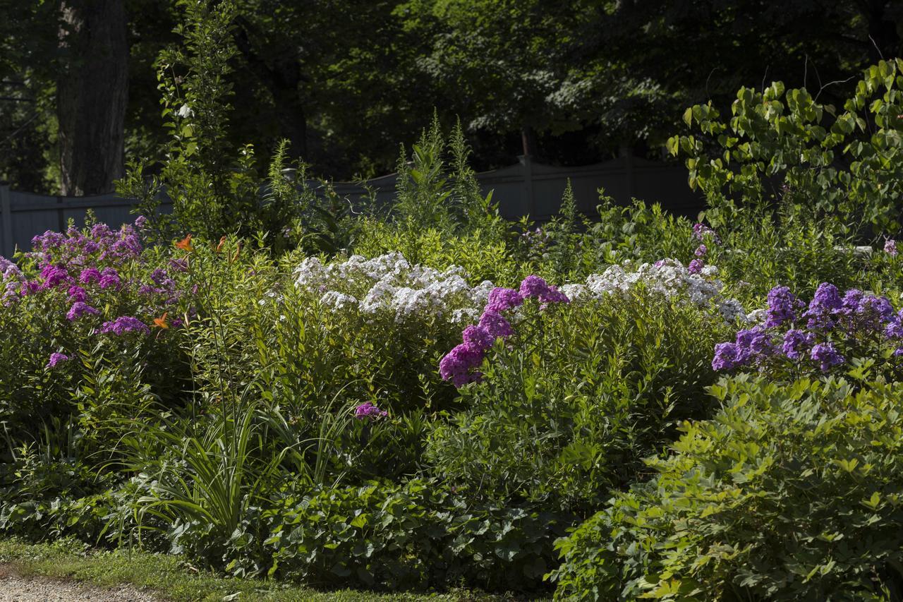 Staveleigh House Bed And Breakfast Sheffield Bagian luar foto